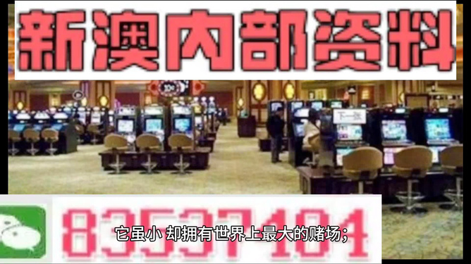 2025新澳正版资料精准解析与预测，2025新澳正版资料精准解析与趋势预测