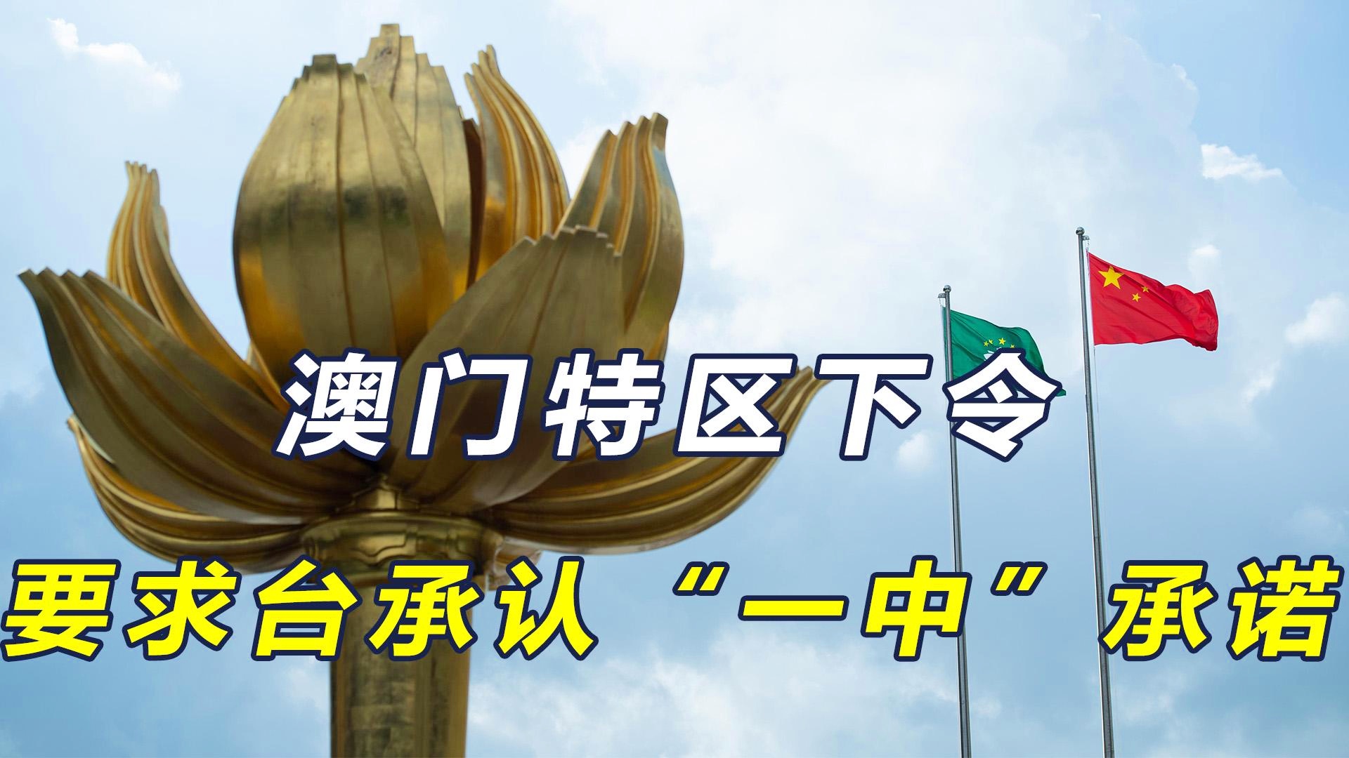 澳门一码一肖一特一中直播，探索背后的秘密与魅力，澳门直播背后的秘密与魅力，一码一肖一特一中揭晓