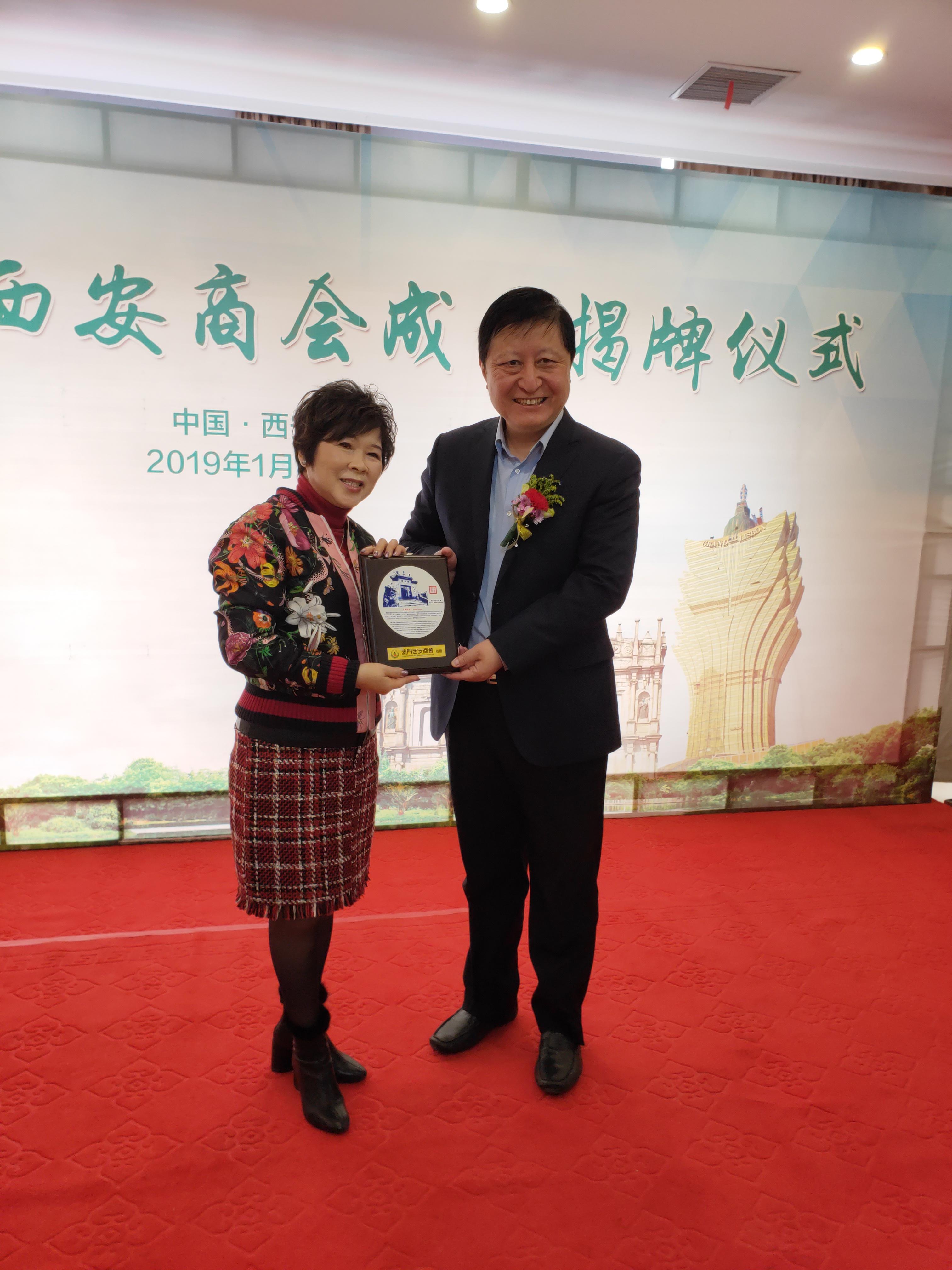 澳门今晚必开一肖，深度解析与预测，澳门今晚必开一肖，深度预测与解析报告