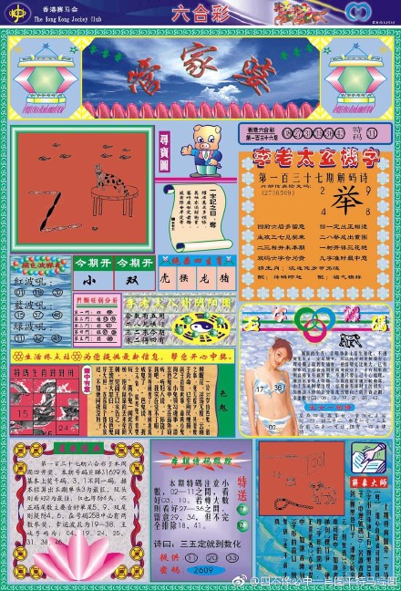 王中王四不像必出一肖图——揭秘彩票背后的秘密，揭秘彩票背后的秘密，王中王四不像必出一肖图的真相探索