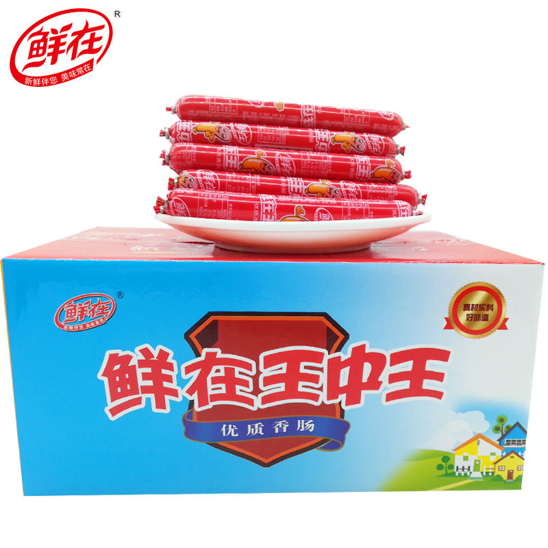 王中王一肖一肖特，揭秘背后的秘密与独特魅力，揭秘王中王一肖一肖特背后的秘密与独特魅力