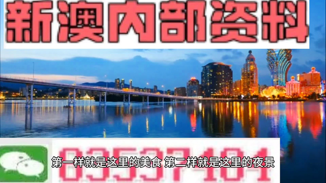 澳门免费资料大全特色，深度解析4949的魅力与优势，澳门免费资料大全深度解析，4949的魅力与优势特色概览