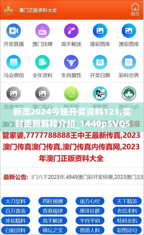 2025新澳正版资料精准解析，2025新澳正版资料精准解析手册