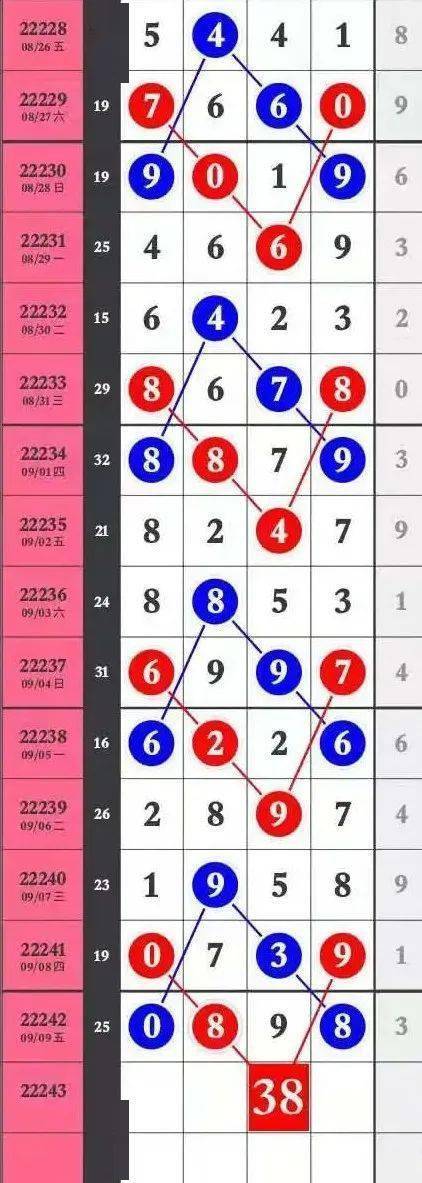揭秘王中王特马一肖大公开——探寻背后的秘密，揭秘王中王特马一肖背后的秘密真相大公开
