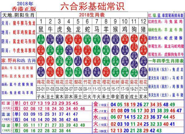 澳门生肖卡图片大全，探索2025年全新系列，澳门生肖卡全新系列图片探索，2025年系列震撼登场