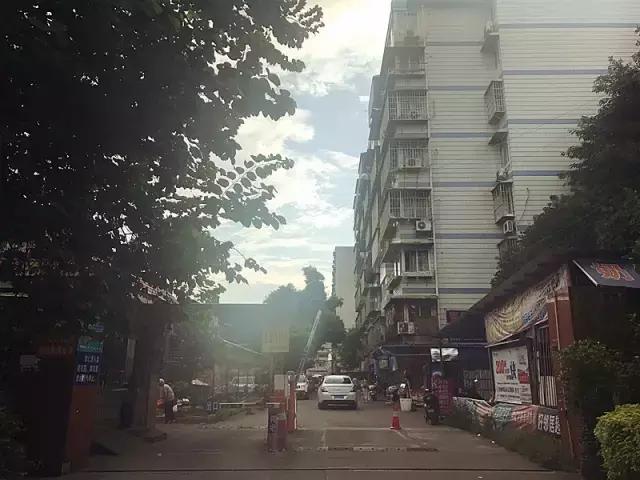 揭秘四组三中三内部精准资料，深度解析与应用指南，揭秘四组三中三内部精准资料深度解析及实战应用指南
