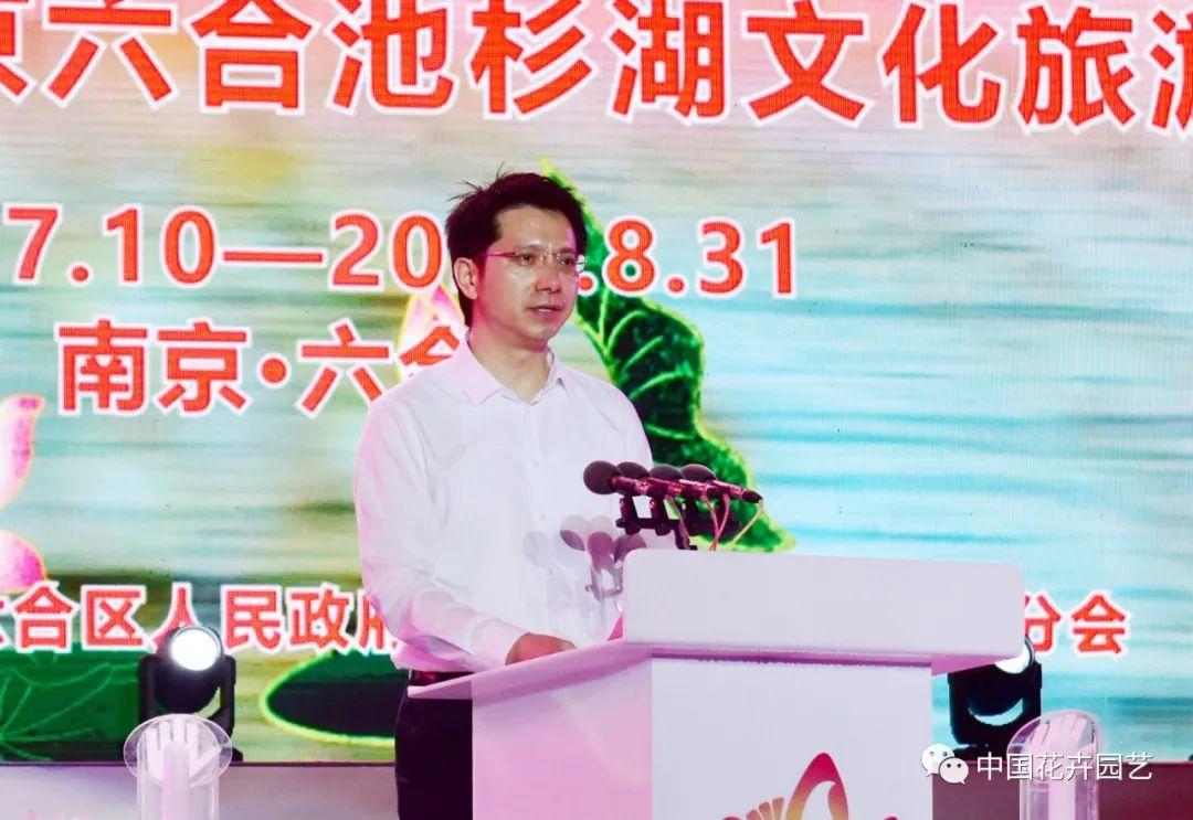 澳门六开开奖结果开奖，揭秘彩票背后的秘密，澳门六开彩开奖结果揭秘，彩票背后的秘密大揭晓