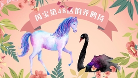 猜刘伯温是一肖一动物，探寻神秘与历史交织的传奇，刘伯温，神秘生肖背后的历史传奇探寻