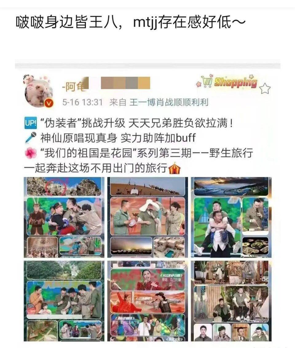 澳门刘伯温精准一肖资料解析，澳门刘伯温精准生肖资料深度解析