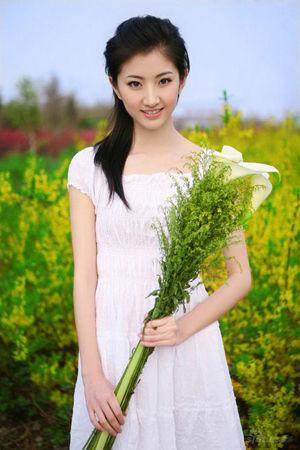 新澳门彩出号综合走势分析，澳门彩票出号走势综合解析