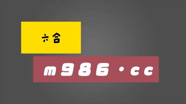一肖一码一特一肖，揭秘生肖魅力与数字神秘关联，揭秘生肖魅力与数字神秘关联的神秘联系，一肖一码一特一肖探讨