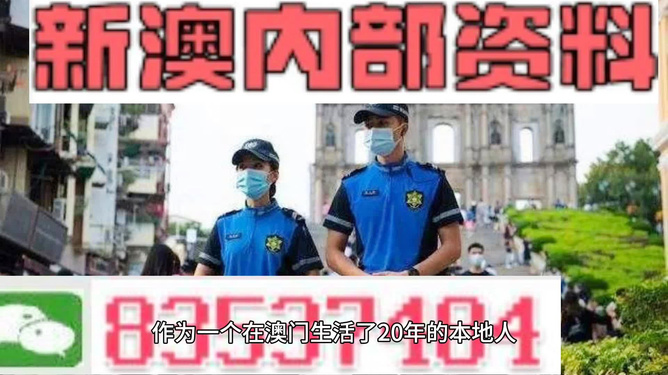 新澳门天天彩期期精准，揭秘彩票预测背后的秘密，揭秘新澳门天天彩期期精准的彩票预测秘密