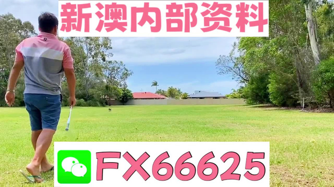 王中王精选一码一肖，揭秘背后的秘密与策略，揭秘王中王精选一码一肖背后的秘密与策略之道