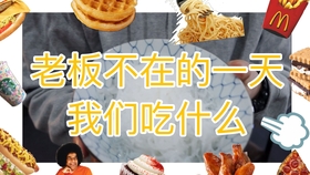 王中王004期指一生肖，深度解读与SEO优化策略，王中王004期生肖深度解读与SEO优化策略全解析