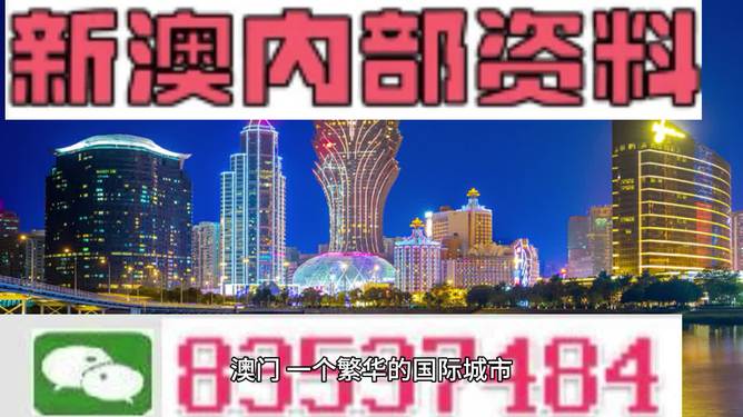 新澳门正版免费资料查询方法与技巧解析，澳门正版免费资料查询方法与技巧深度解析